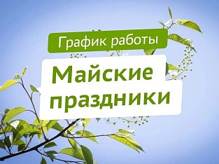 График работы в праздничные дни: